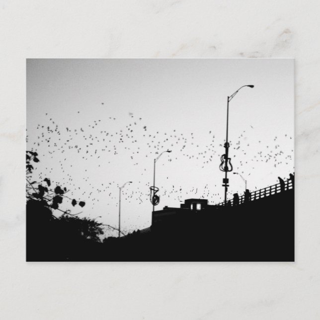 Postal Bats sobre Austin (Anverso)