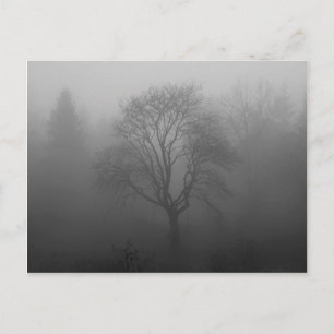 Postal Baum im Nebel