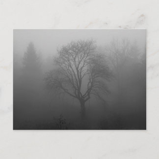 Postal Baum im Nebel