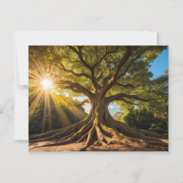 Postal Baum in Sonnenstrahlen