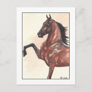 Postal Bay Harness Pony 1