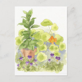 Postal Bay Tree Nasturium Herb Garden Watercolor