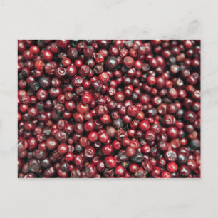 Postal Bayas rojas del Himalaya