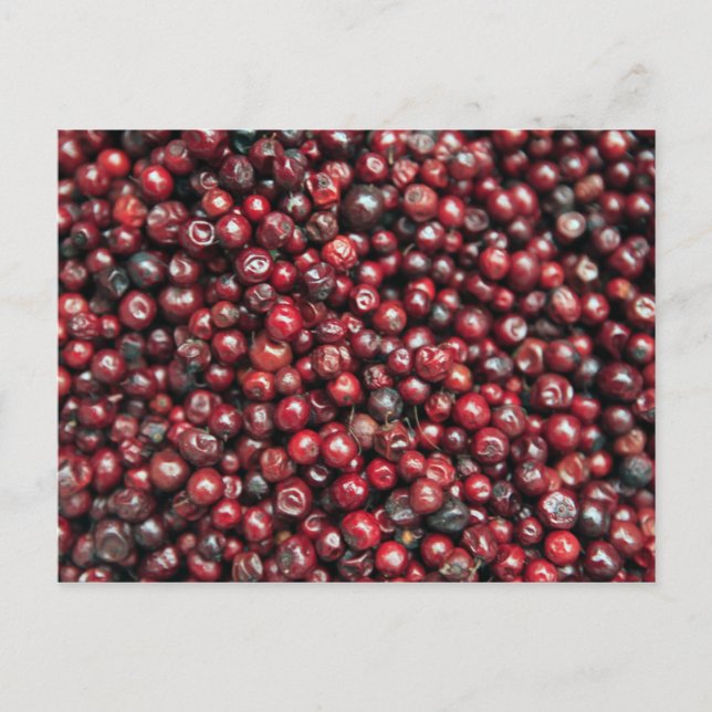 Postal Bayas rojas del Himalaya (Anverso)