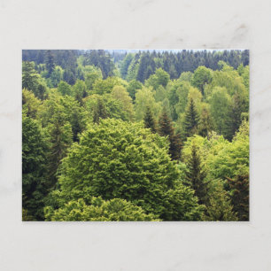 Postal Bayerischer Wald