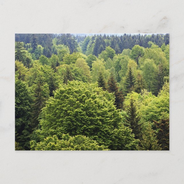 Postal Bayerischer Wald (Anverso)