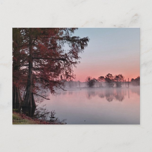 Postal Bayou sunrise (Anverso)