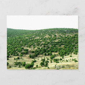 Postal Bcharre, Líbano