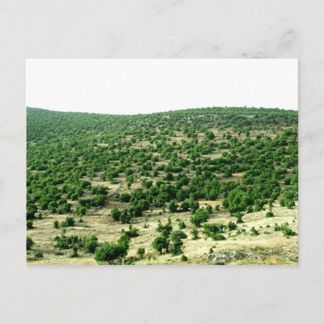 Postal Bcharre, Líbano (Anverso)