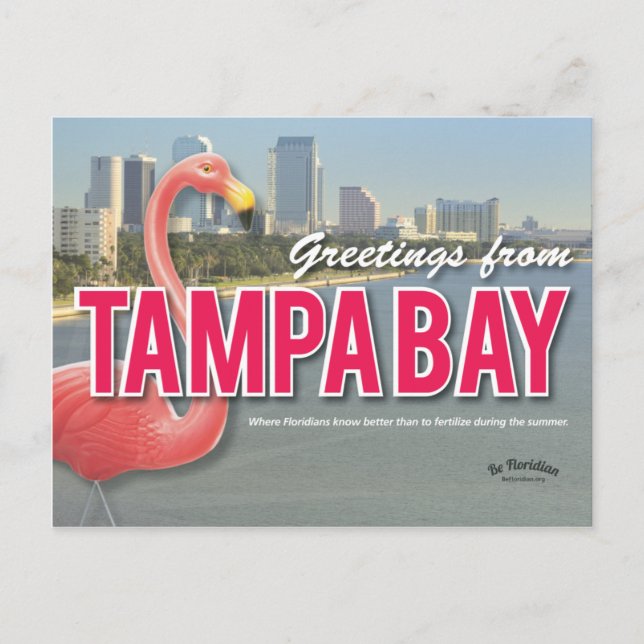 Postal Be Floridian - Postcard de la bahía de Tampa (Anverso)