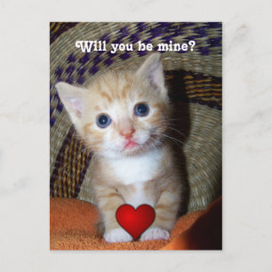 Postal Be Mine Kitten