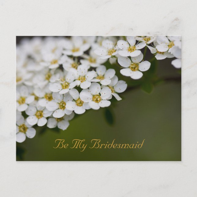 Postal Be My Bridesmaid Postcard Spiraea (Anverso)