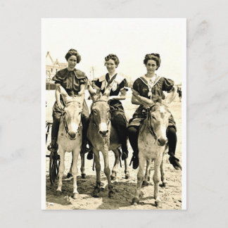 Postal Beach Burros