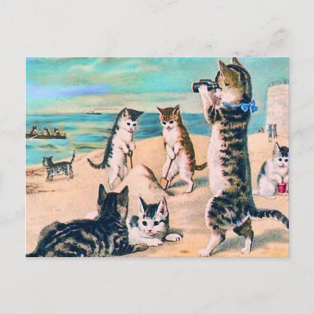 Postal Beach Cats (Anverso)