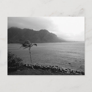 postal "Beach Front"