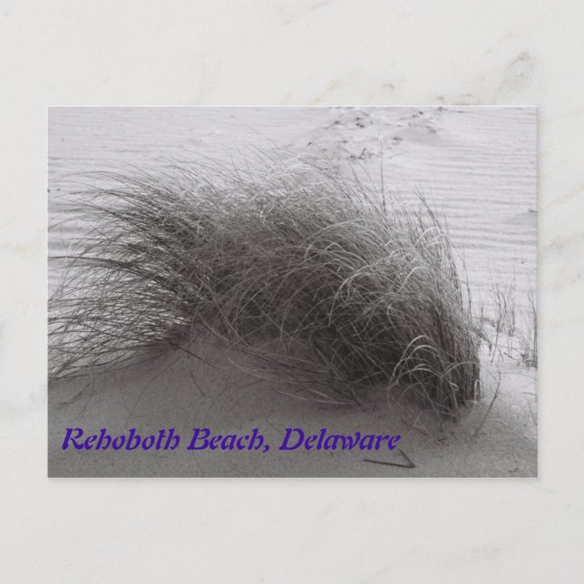 Postal Beach Grass Rehoboth (Anverso)