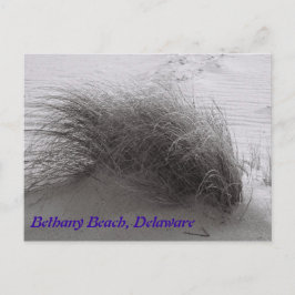 Postal Beach Grasss Bethany Postcard