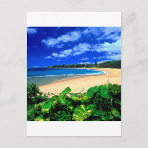 Postal Beach Haena Kauai Hawaii