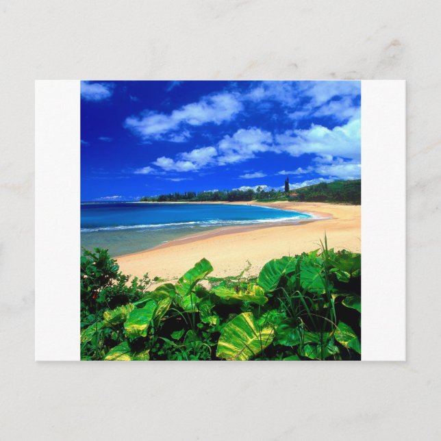 Postal Beach Haena Kauai Hawaii (Anverso)