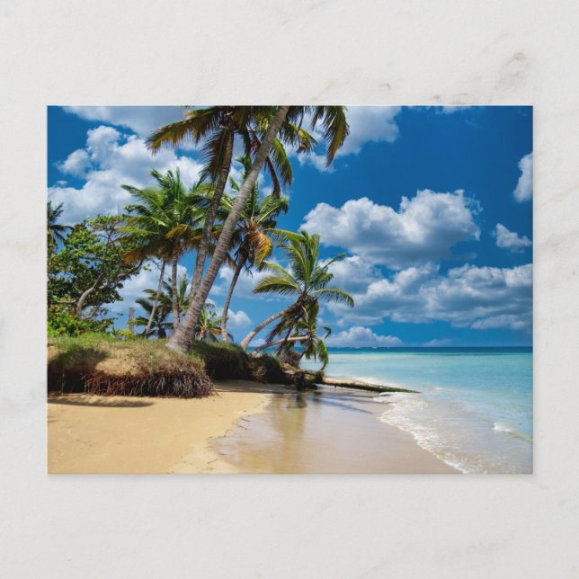 Postal Beach Ocean Photo 168 (Anverso)