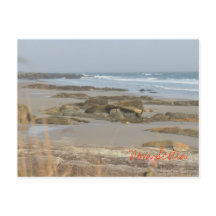 Beach Scene New Scotia Rissers Southshore