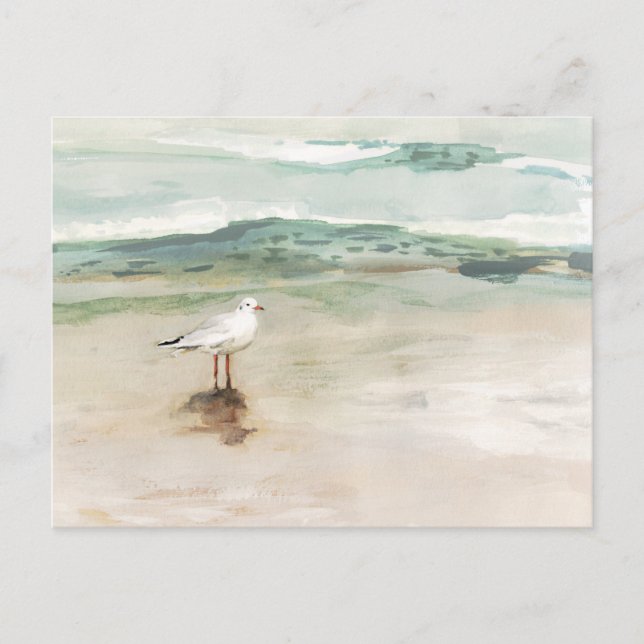 Postal Beach Seagull Cove (Anverso)