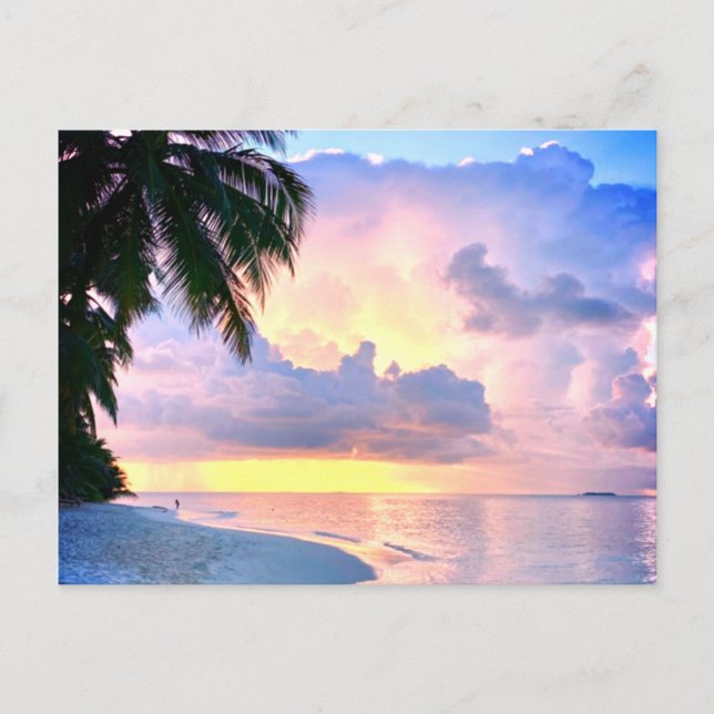 Postal Beach Sunset ocean sand palmtree Maldives Miami (Anverso)