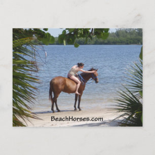 Postal BeachHorses.com