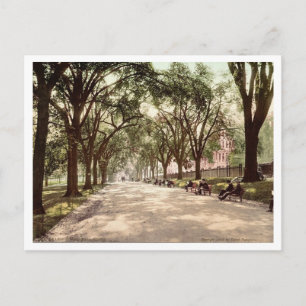 Postal Beacon Street Mall Boston c1899 Inspirado en lo An