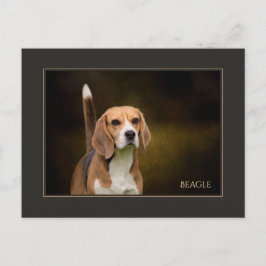 Postal Beagle