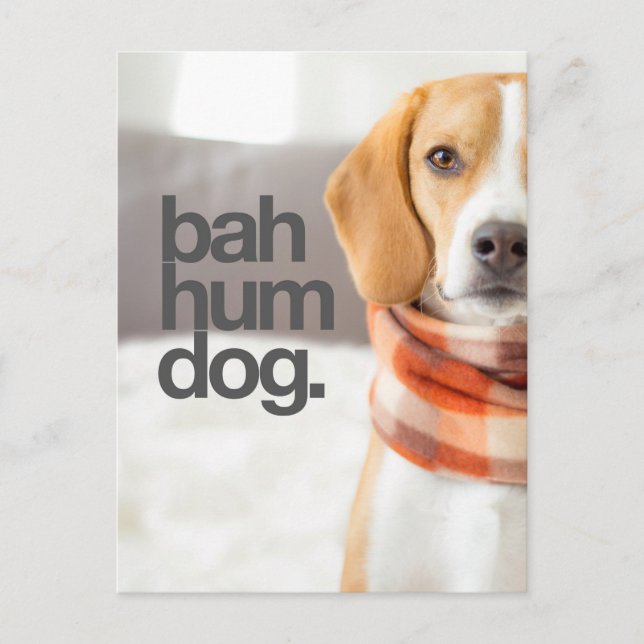 Postal Beagle "Bah Hum Dog" (Anverso)