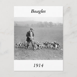 Postal Beagle Club, 1914