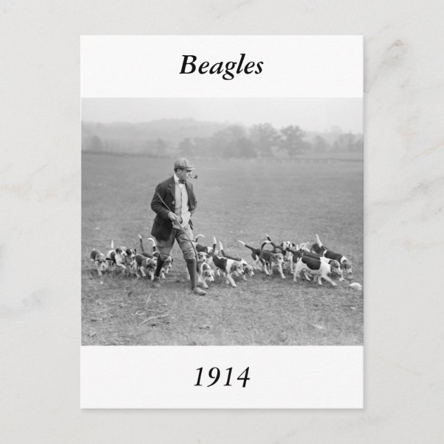 Postal Beagle Club, 1914 (Anverso)