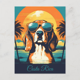 Postal Beagle con gafas de sol en un Personalizado de pla