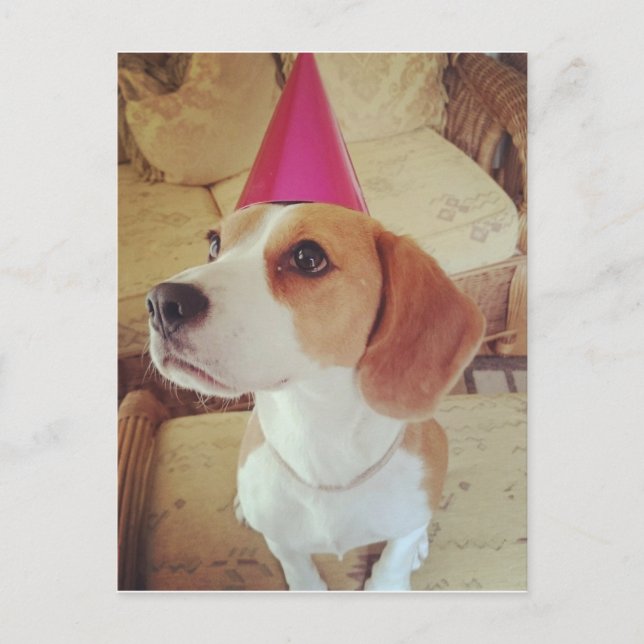 Postal Beagle de cumpleaños (Anverso)