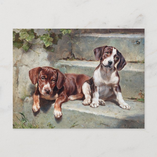 Postal Beagle Dog Puppies Vintage Animal Postcard (Anverso)
