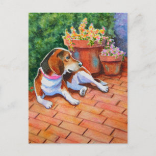 Postal Beagle en Brick Patio
