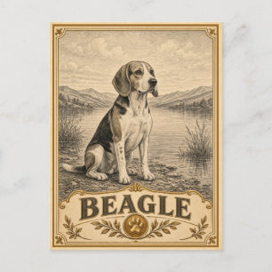 Postal Beagle, perro vintage de herencia