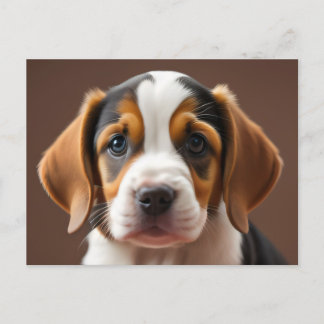 Postal Beagle Puppy