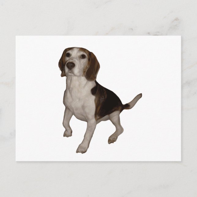 Postal beagle sentado tercero (Anverso)