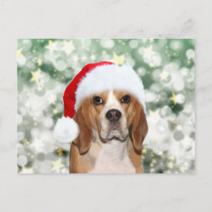 Postal Beagle vistiendo Navidades de Santa hat