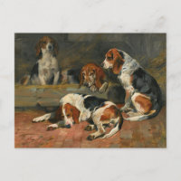 Beagles - Padres del Paquete de John Emms