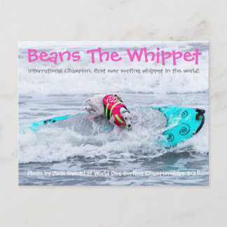 Postal Beans Surfdog