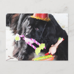 Postal Bear de cumpleaños