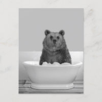 Bear en Bañera Baño Bubble Postcard