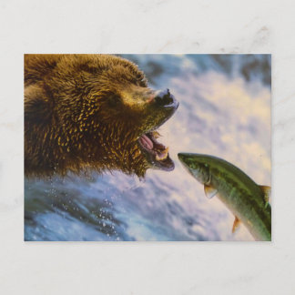 POSTAL BEAR FISH WILD ANIMAL POSTCROSSING