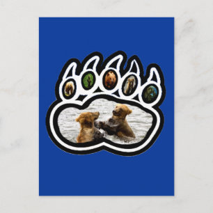 Postal Bear Paw
