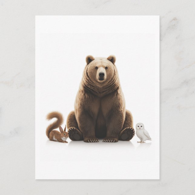 Postal Bear Squirrel Owl (Anverso)
