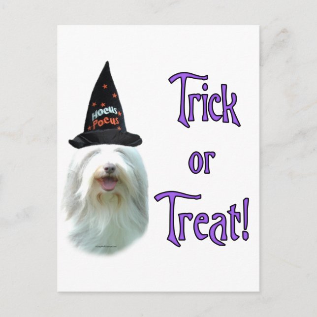 Postal Bearded Collie Trick (Anverso)