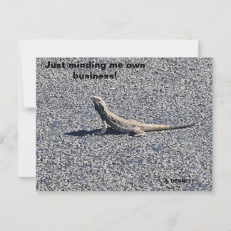 Postal Beardy, fuera de Nueva Gales del Sur